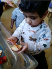 Apple boats
