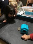 Pet Hamster Research Project