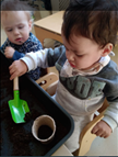 Seed planting