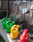 Watering the plants