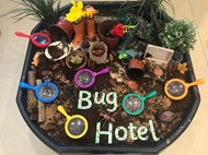 Bug Hotel