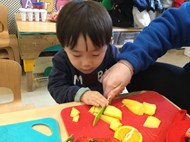 Fruit Lollies
