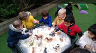 Awe and wonder moments in the garden