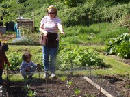 Allotment Visit