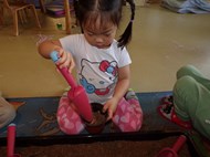 Exploring Seeds