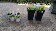 Gardening at the care home