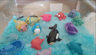 Sea animals
