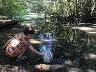 Making a Pond