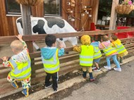 Ladybirds Farm Trip