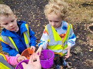 Forest Foraging