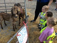 Hackney City Farm Trip