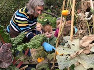 Allotment Harvesting