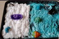 Shaving foam & sea animals