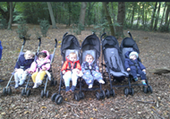 Trip to the Forest (2)