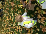 Autumn Walk (1)