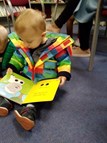 Visiting the Library