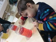 Science Day