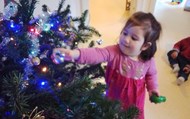 Decorating  the Christmas Tree