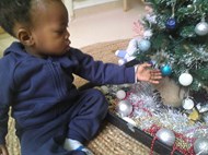 Christmas Designs