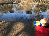 Visiting the Duck Pond