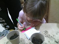 Preschool Planting Cress Workshop