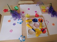 Spring colours
