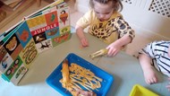 Zoo Animals