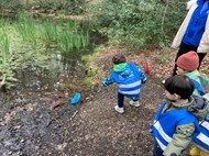 Pond Dipping