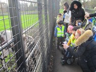 Exploring Clissold Park