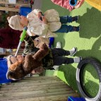 We’re Going on a Bear hunt!