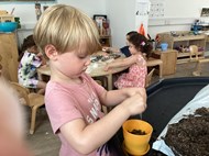 Sensory Planting