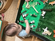 Farm animal tuff tray