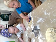 Animal Cookies