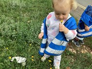 Dandelion Printing