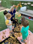 Leaves are falling