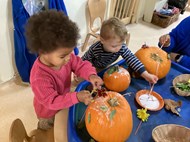 Nature Pumpkins