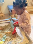 Fun activities