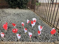 Remembrance Day (1)