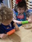 Gingerbread Biscuits