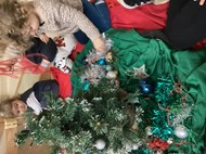 Christmas tree decorating