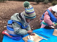 Playdough in the Forest