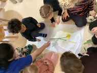 St David’s Day (1)