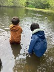 Pond Dipping (1)