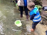 Pond Dipping (1)