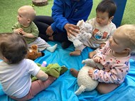 Teddy Bears Picnic (3)