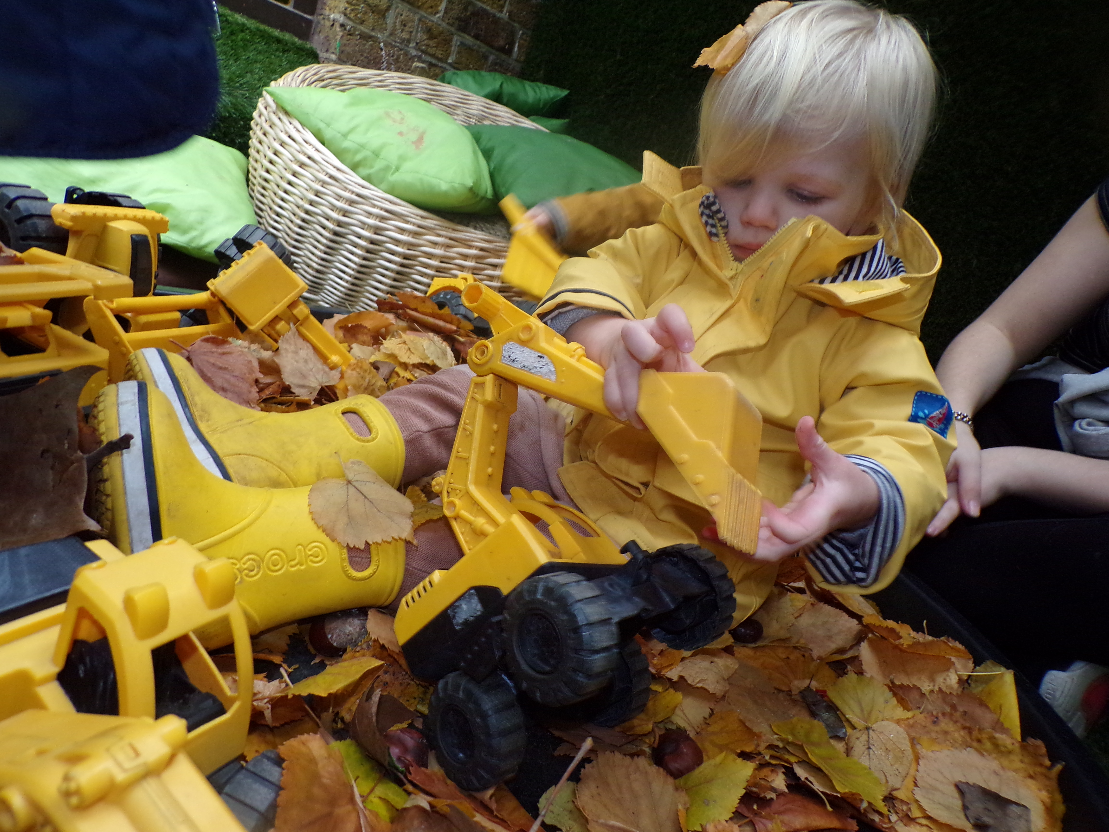 Autumn leaf exploration