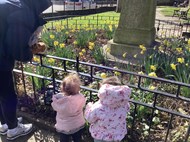 Spring walk (2)