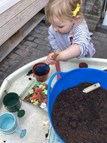 Seed Planting