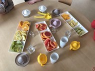 Juice Making & Tasting