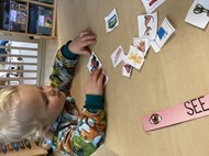 Our Five Senses